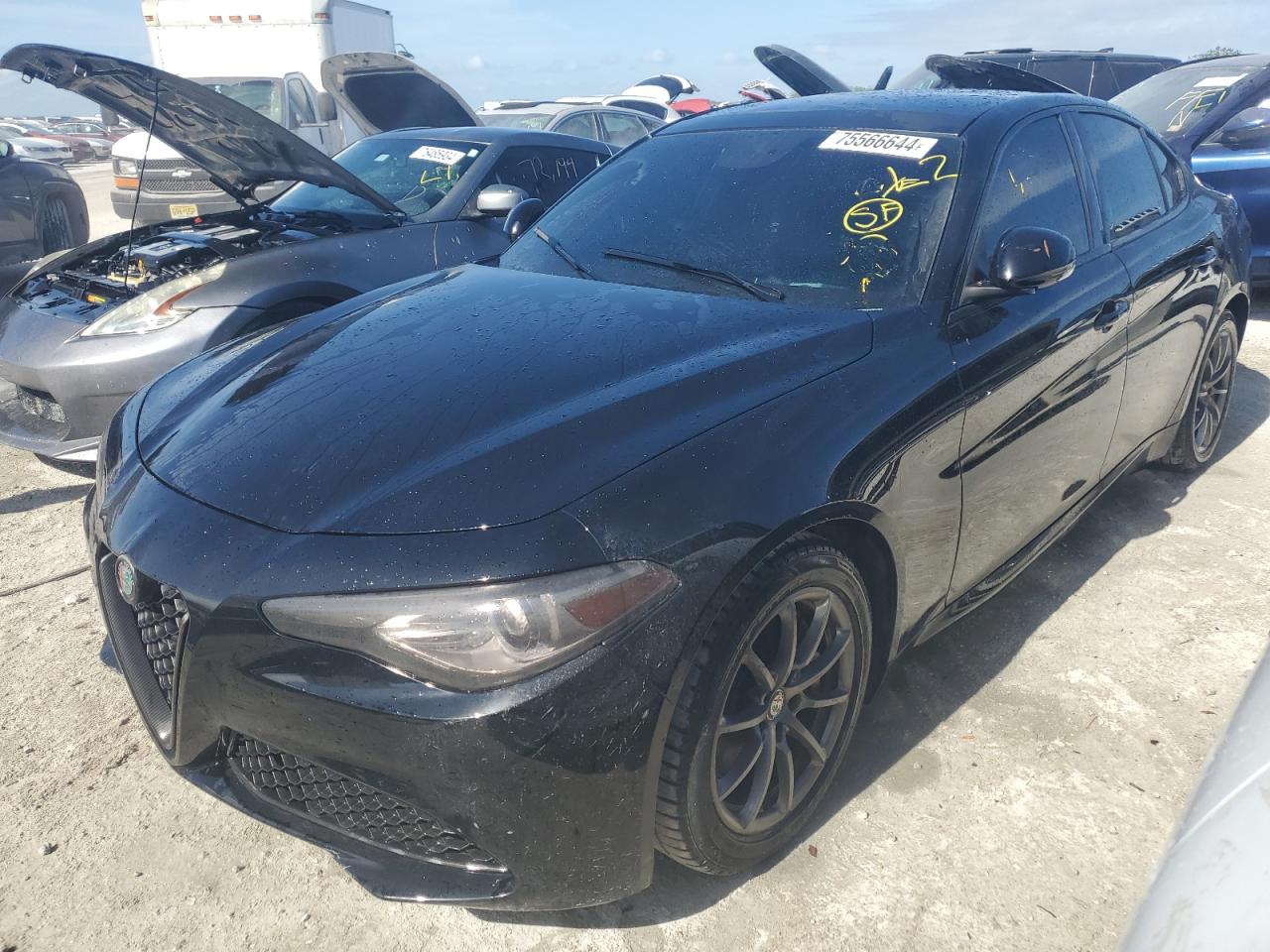 Lot #2975937269 2019 ALFA ROMEO GIULIA