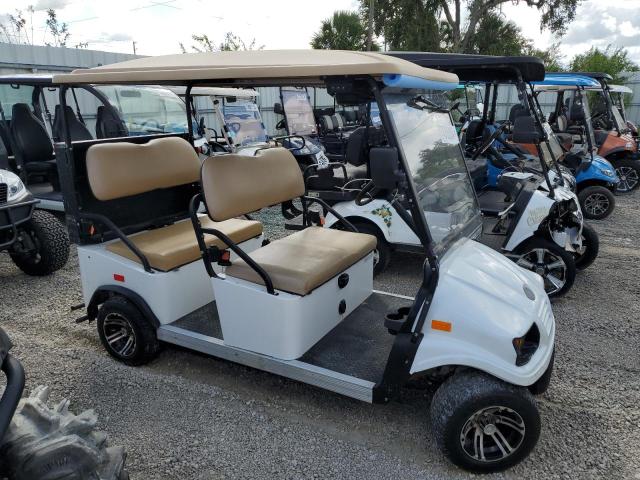 CRUS GOLFCART 2019 white   5YNF5FAC0KS010819 photo #1