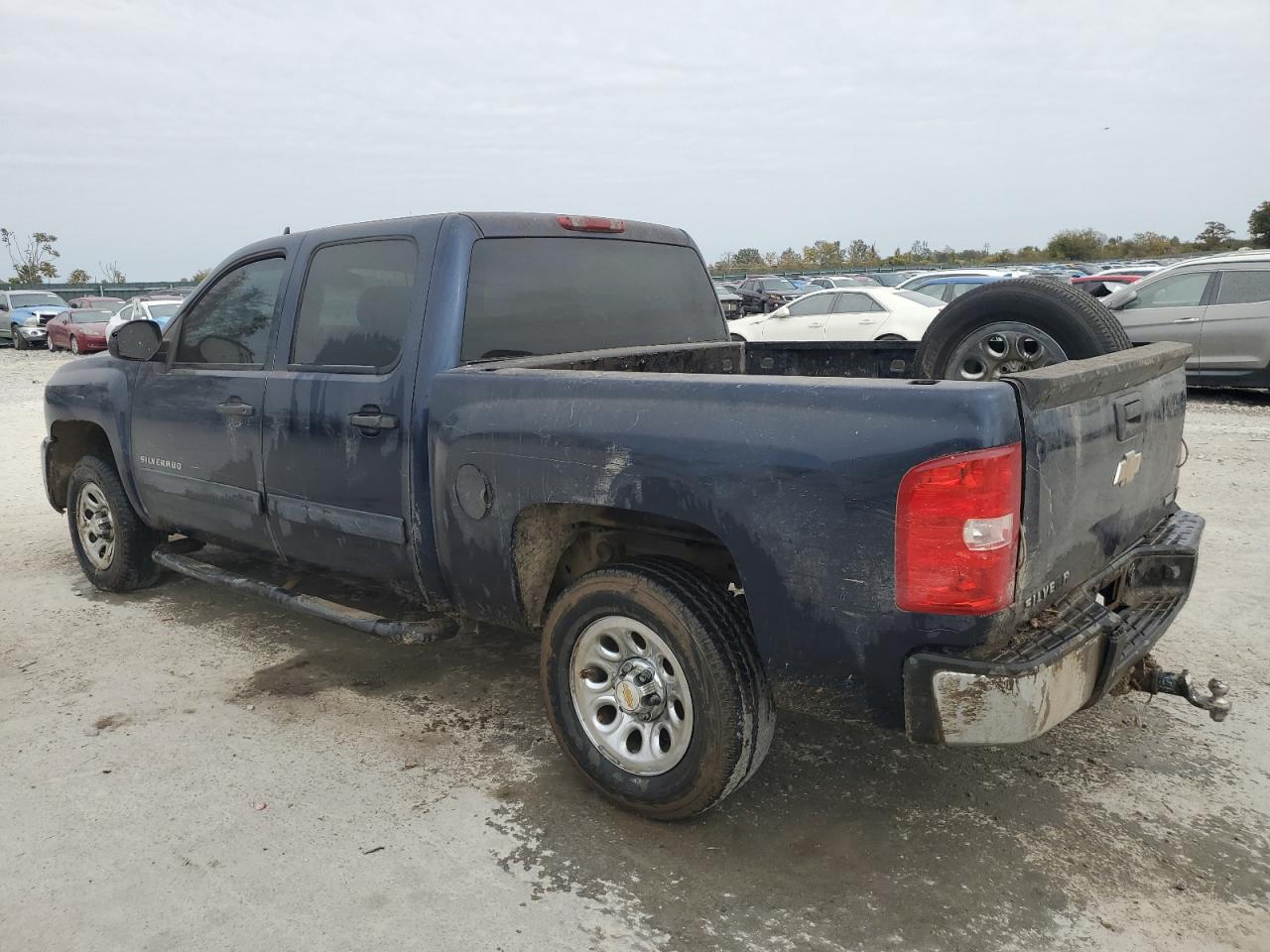 Lot #3024685574 2010 CHEVROLET SILVERADO