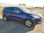 FORD ESCAPE SE photo