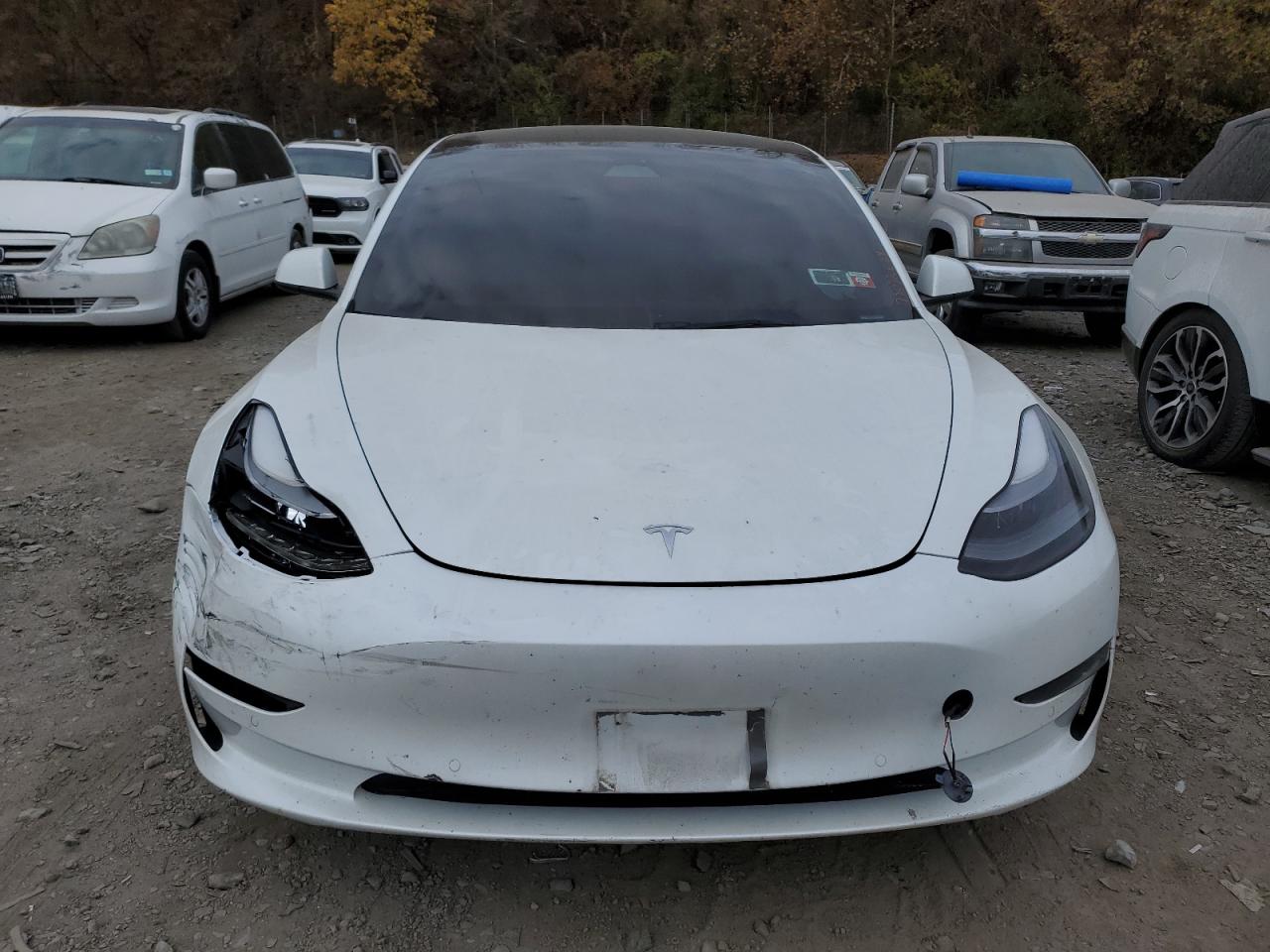 Lot #2994088389 2022 TESLA MODEL 3