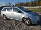 HONDA ODYSSEY EX photo