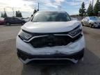 HONDA CR-V EX photo