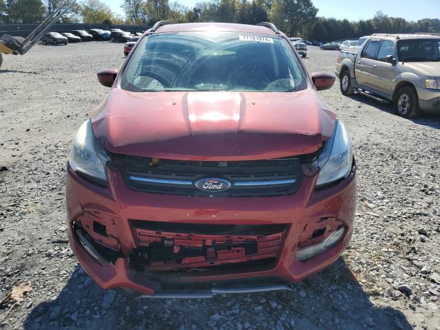 VIN 1FMCU0GX3EUB59241 2014 Ford Escape, SE no.5