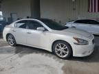 NISSAN MAXIMA S photo