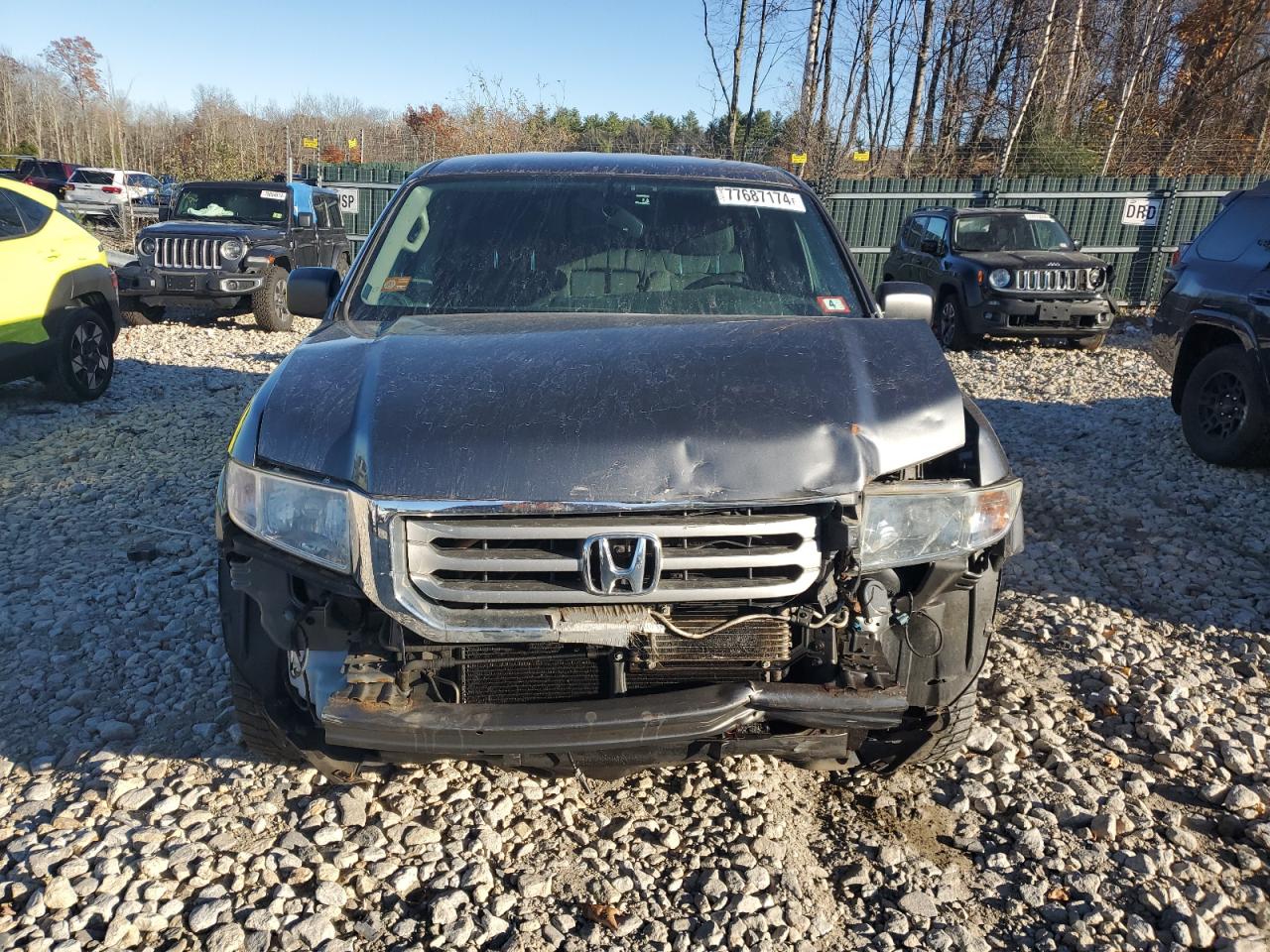 Lot #2972423518 2013 HONDA RIDGELINE