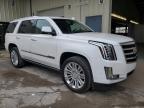 CADILLAC ESCALADE P снимка