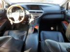 LEXUS RX 350 photo