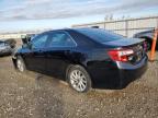 TOYOTA CAMRY L photo