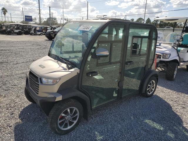 OTHER GOLF CART 2019 beige   LTD0001720 photo #3