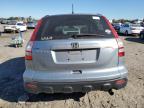 HONDA CR-V EX photo