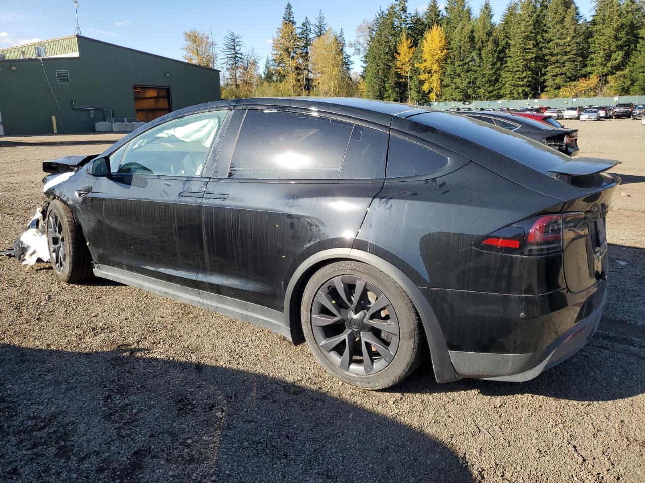 Lot #2993924309 2024 TESLA MODEL X