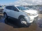 TOYOTA RAV4 LE photo