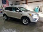 FORD ESCAPE SE снимка