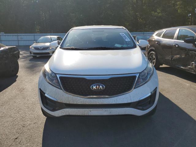 VIN KNDPB3AC6F7709261 2015 KIA Sportage, LX no.5