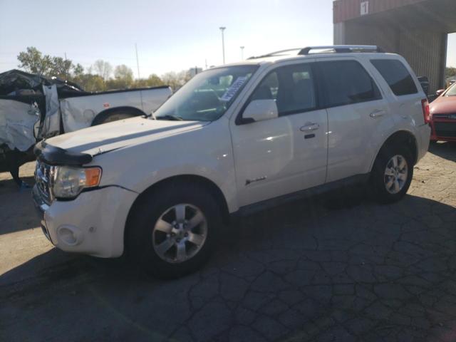 2010 FORD ESCAPE HYBRID 2010