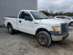 FORD F150 photo