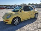 VOLKSWAGEN NEW BEETLE photo