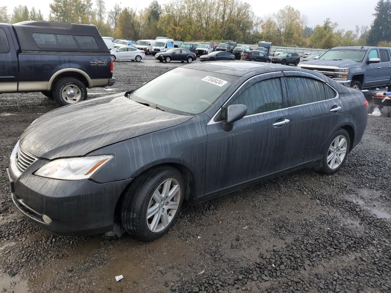 Lot #2994073243 2008 LEXUS ES 350