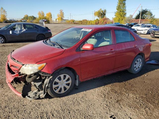 Vin: 2t1bu4ee2bc613254, lot: 76590734, toyota corolla base 2011 img_1