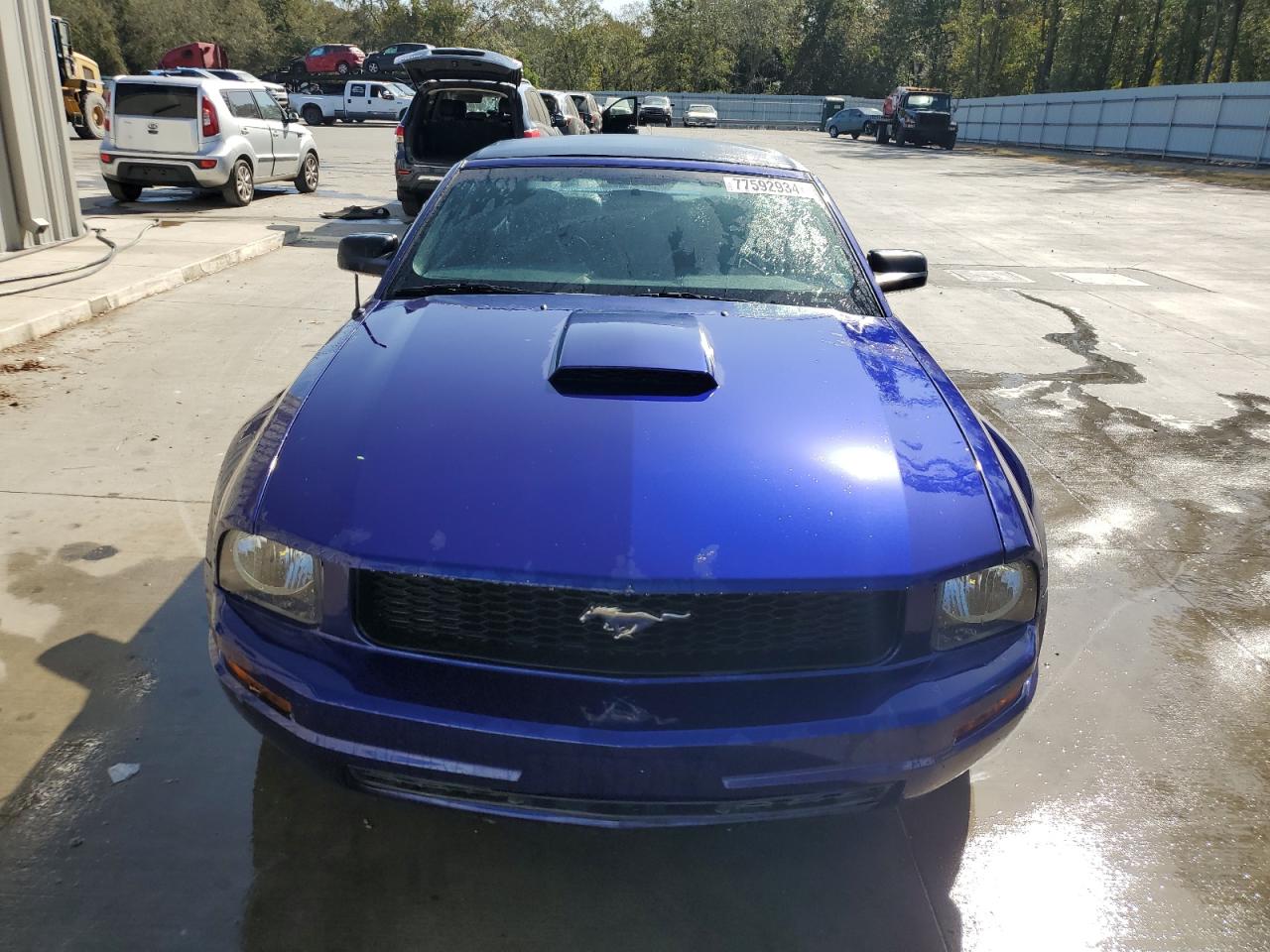 Lot #2943176508 2008 FORD MUSTANG