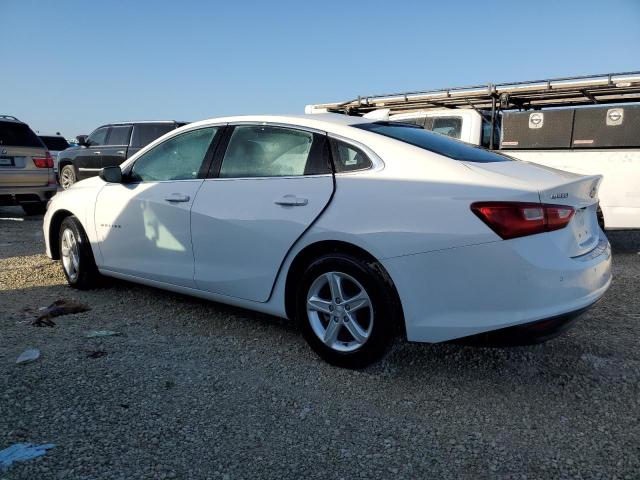 2024 CHEVROLET MALIBU LT - 1G1ZD5ST0RF117032