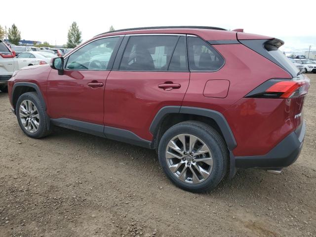 TOYOTA RAV4 XLE 2019 red  gas 2T3R1RFV0KC043605 photo #3