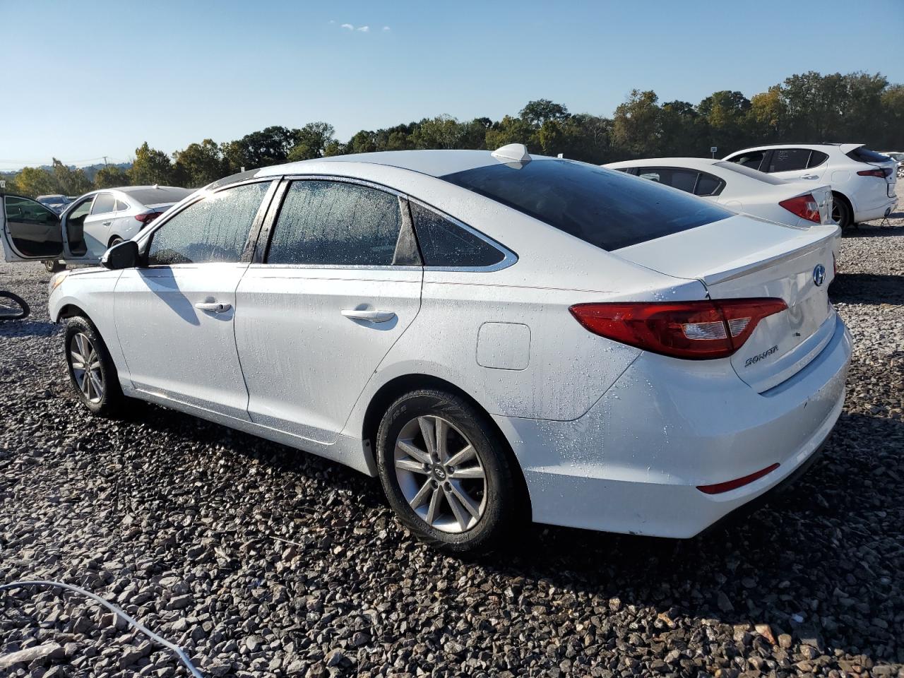 Lot #2919423365 2016 HYUNDAI SONATA ECO