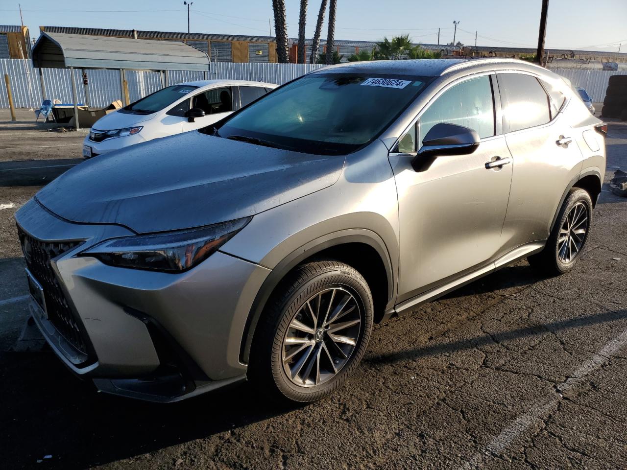 Lot #3003719508 2023 LEXUS NX 250