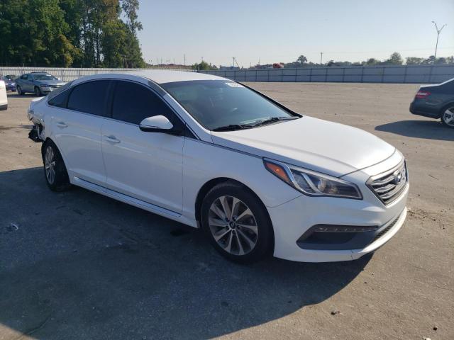 2016 HYUNDAI SONATA SPO - 5NPE34AF1GH401397