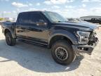 FORD F150 RAPTO photo