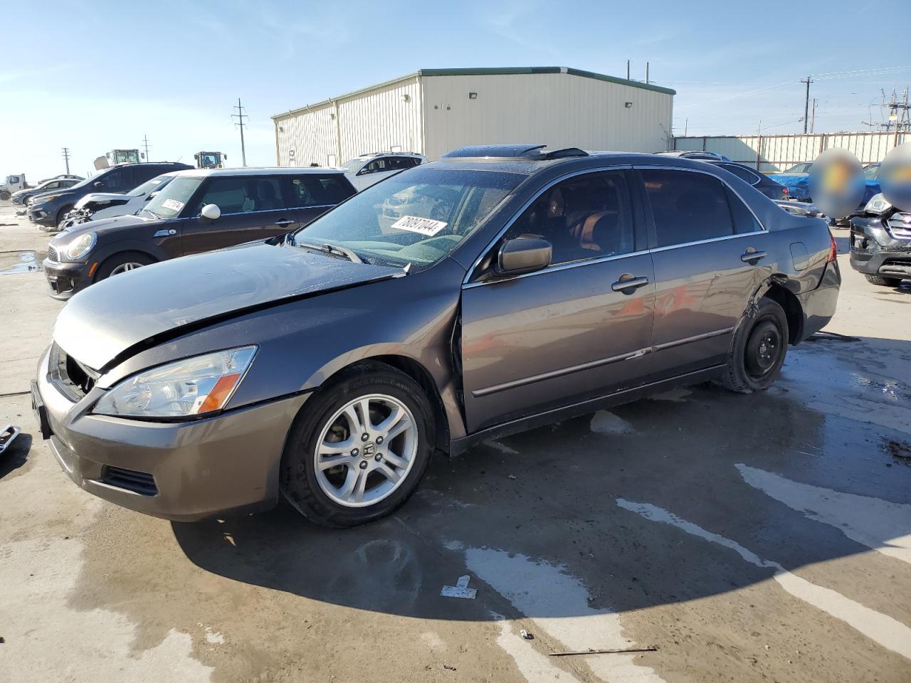 Lot #2952891816 2006 HONDA ACCORD EX