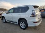 LEXUS GX 460 photo