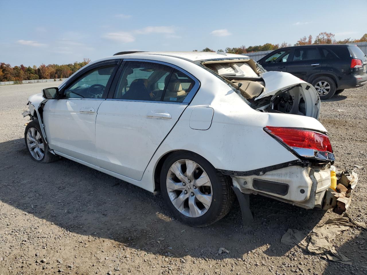 Lot #3032951018 2008 HONDA ACCORD EXL