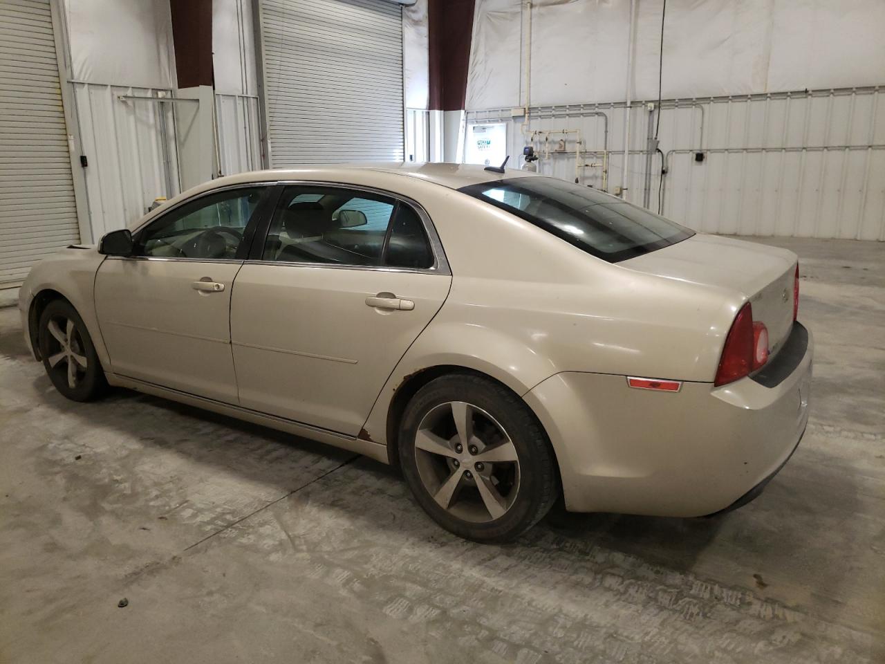 Lot #2943141532 2011 CHEVROLET MALIBU 1LT