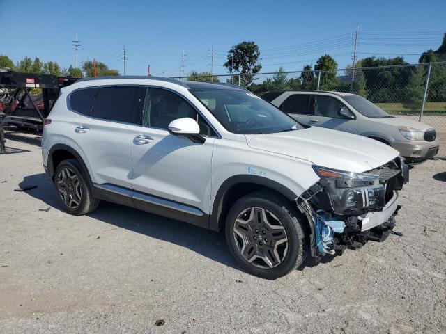 2021 HYUNDAI SANTA FE L - 5NMS4DAL3MH372239