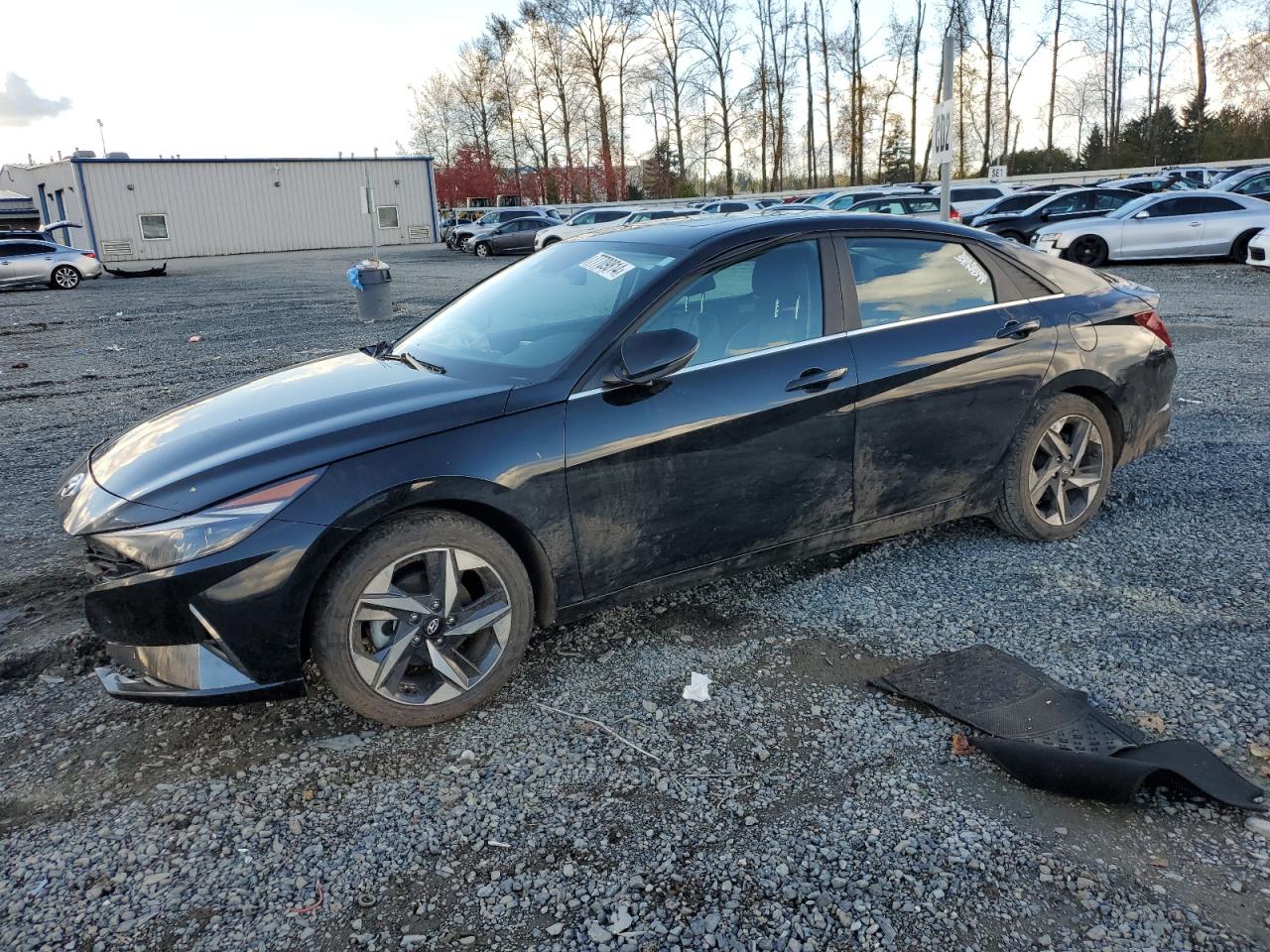 Lot #2972533998 2023 HYUNDAI ELANTRA LI