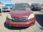 Lot #3045588642 2011 HONDA CR-V SE