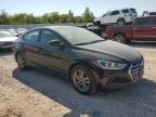 HYUNDAI ELANTRA SE photo