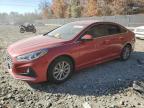 2019 HYUNDAI SONATA SE - 5NPE24AF7KH799761