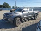2020 TOYOTA TACOMA DOU - 3TMCZ5AN8LM289706
