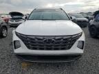 Lot #2994302145 2024 HYUNDAI TUCSON LIM