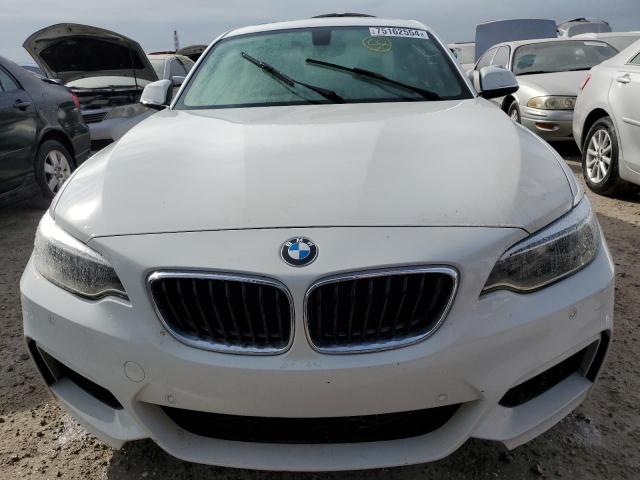 2015 BMW 228 I WBA1F5C52FV257547