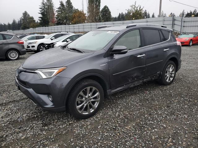 VIN JTMDJREV3HD064481 2017 Toyota RAV4, Limited no.1