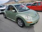 VOLKSWAGEN NEW BEETLE photo