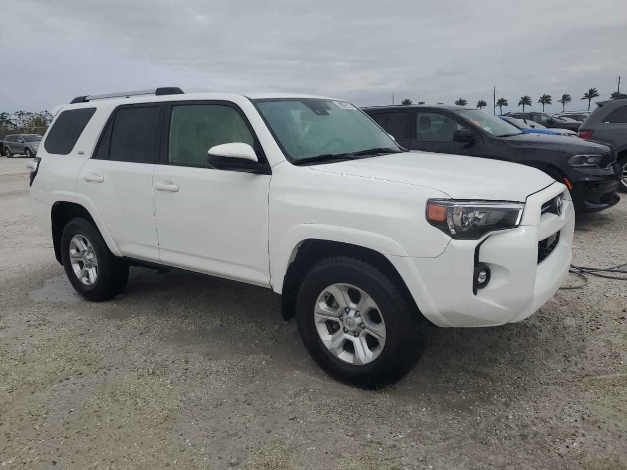 Lot #2939691663 2024 TOYOTA 4RUNNER SR