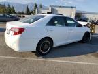 Lot #3023774928 2013 TOYOTA CAMRY HYBR