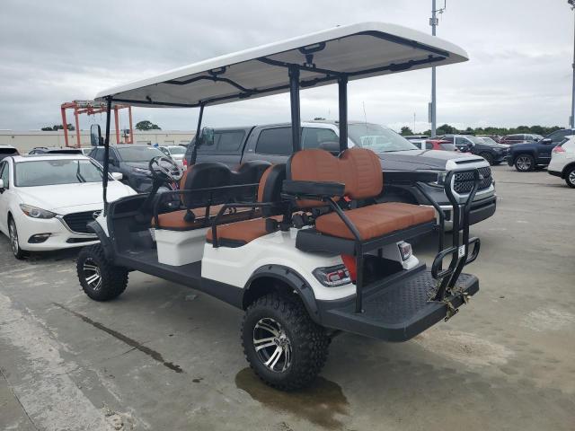 ASPT GOLF CART 2024 two tone   FLA132663 photo #4