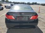 Lot #3023904219 2007 LEXUS ES 350