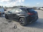 LEXUS UX 250H BA photo